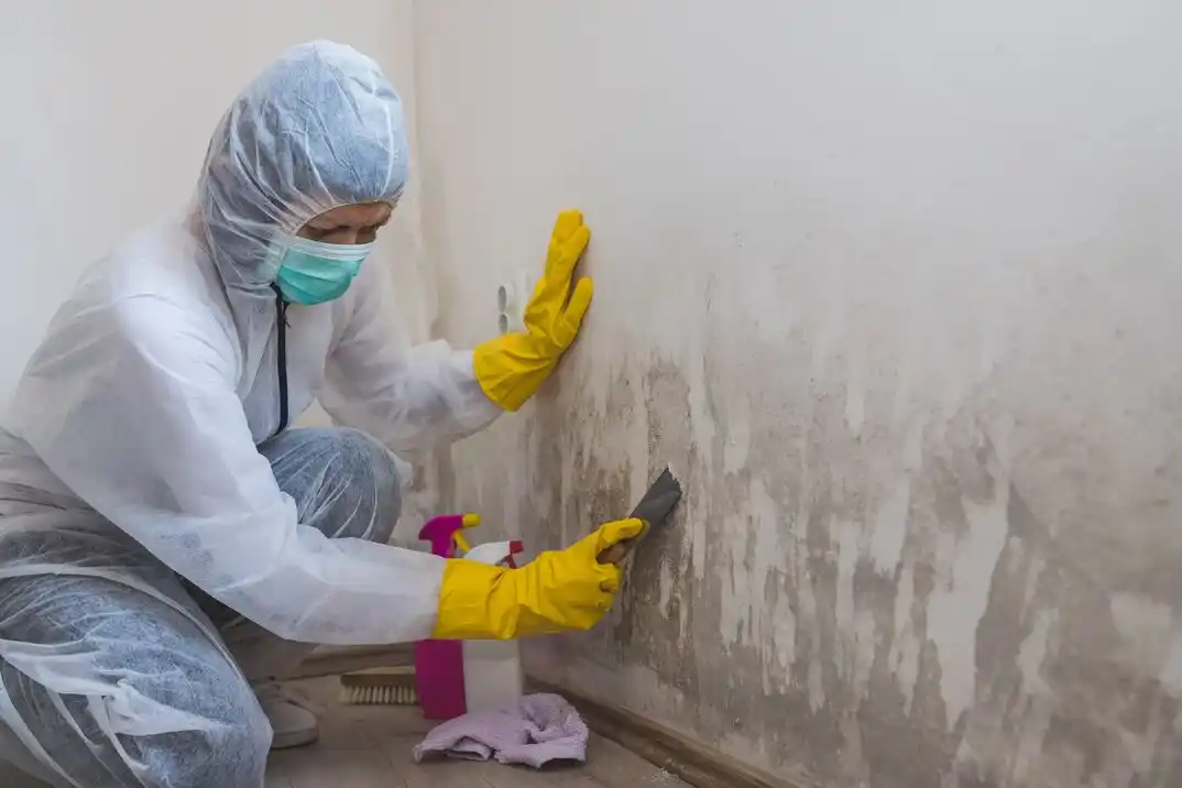water damage restoration service Kings Row